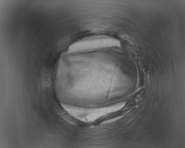 X0000082941012200702222241