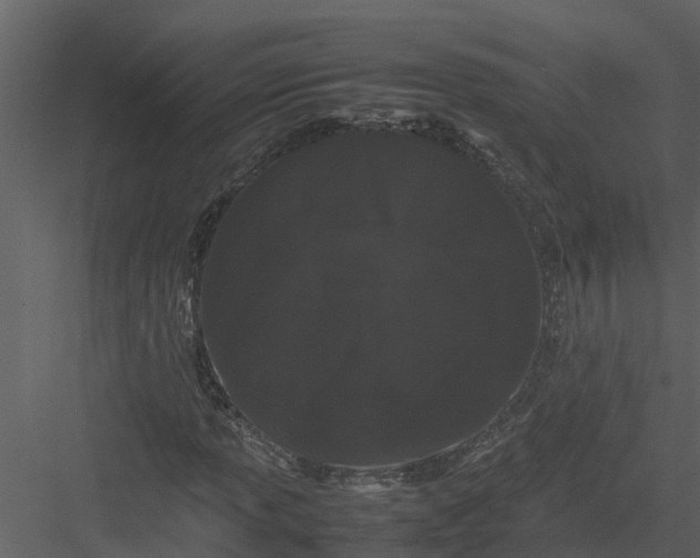 X0000082941013200702222241