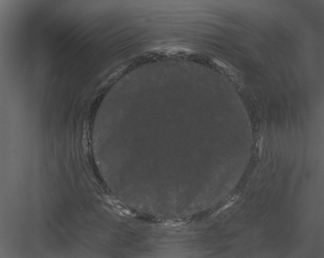 X0000082941014200702222241