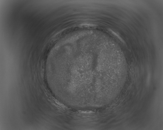 X0000082941015200702222241