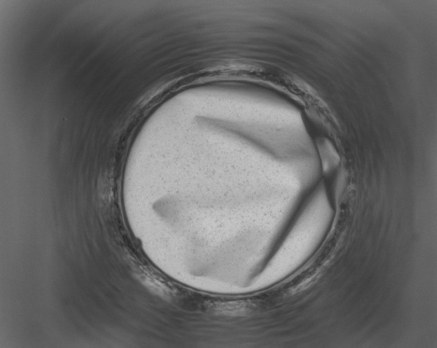 X0000082941017200702222241