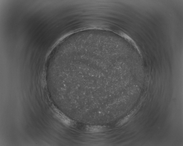 X0000082941019200702222241