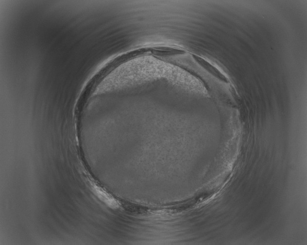 X0000082941022200702222241