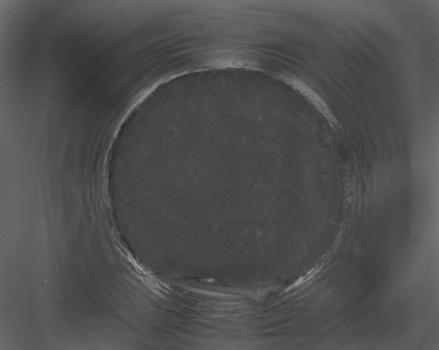 X0000082941023200702222241