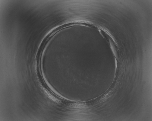 X0000082941024200702222241