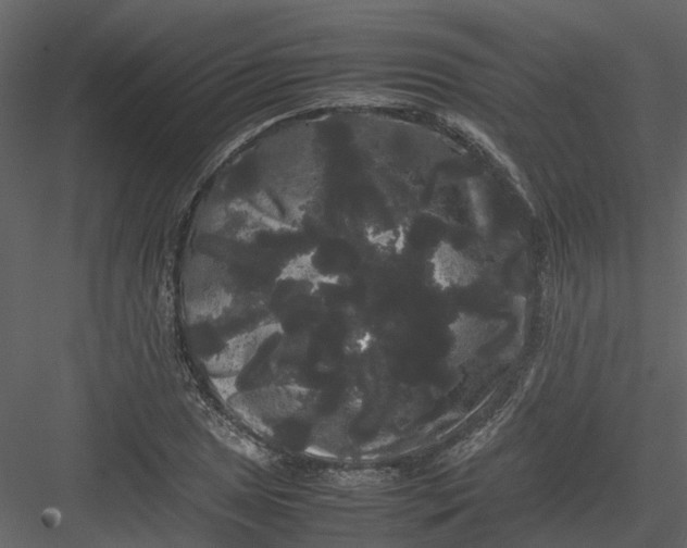 X0000082941025200702222241