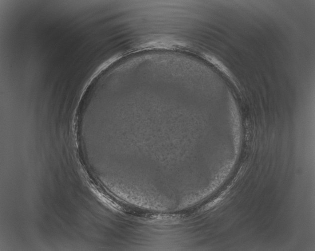 X0000082941026200702222241