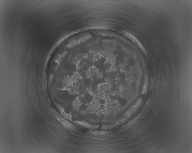 X0000082941027200702222241