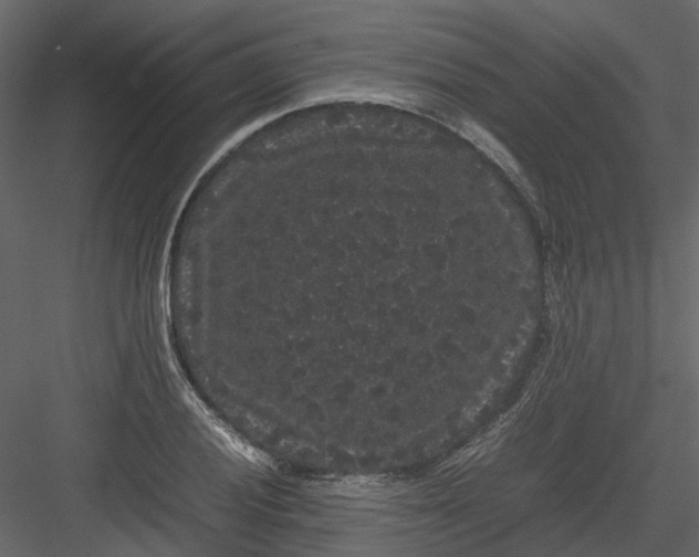 X0000082941028200702222241