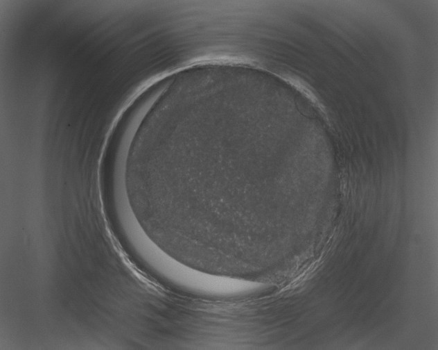 X0000082941030200702222241