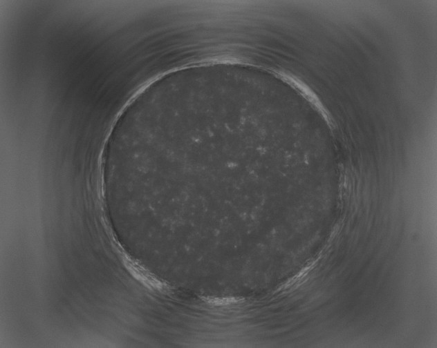 X0000082941031200702222241