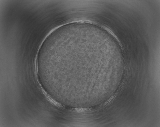 X0000082941032200702222241