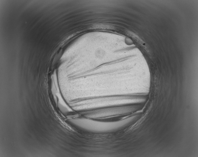 X0000082941033200702222241