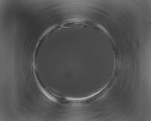 X0000082941034200702222241