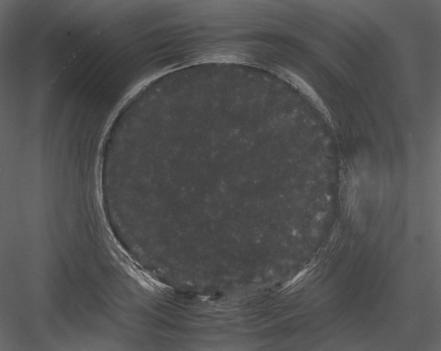 X0000082941035200702222241