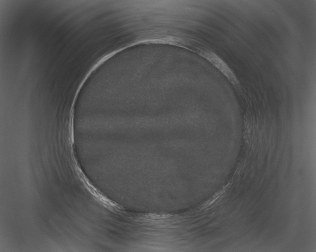 X0000082941036200702222241