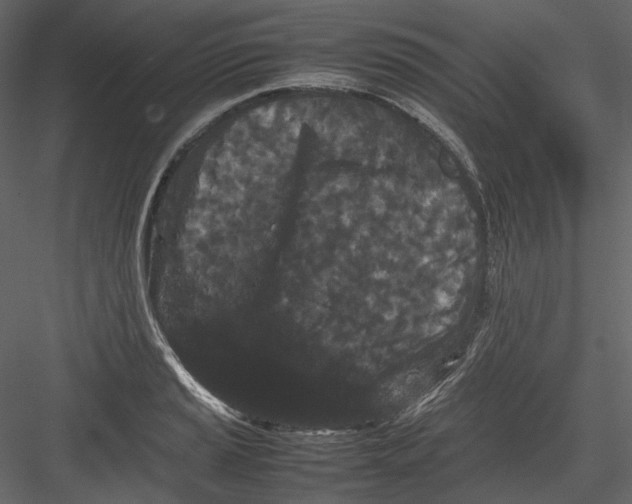 X0000082941037200702222241