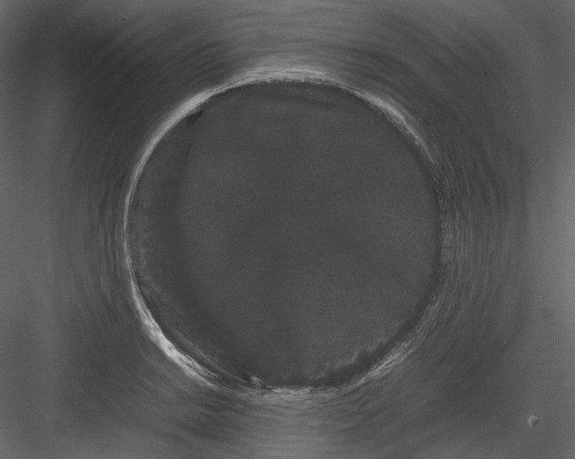 X0000082941038200702222241