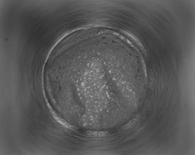 X0000082941039200702222241