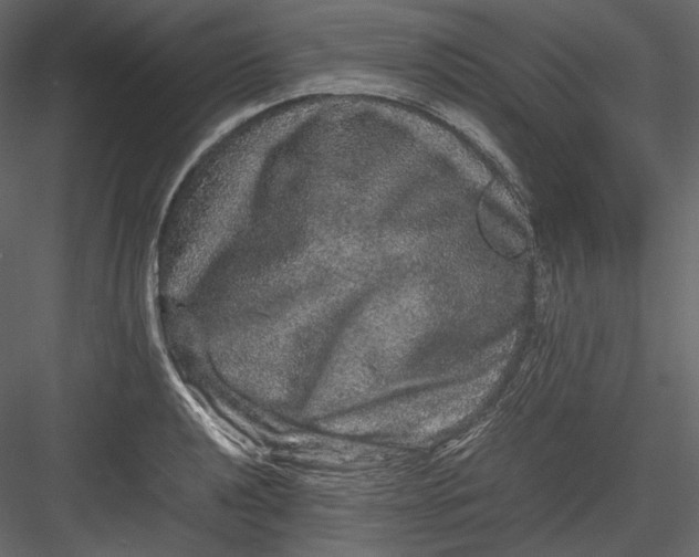 X0000082941040200702222241