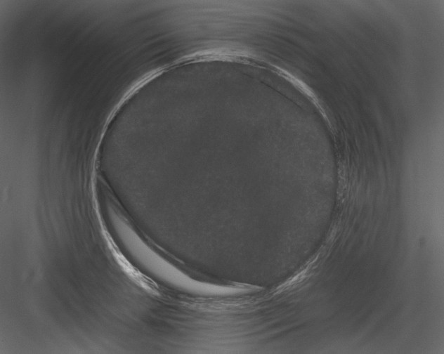 X0000082941042200702222241