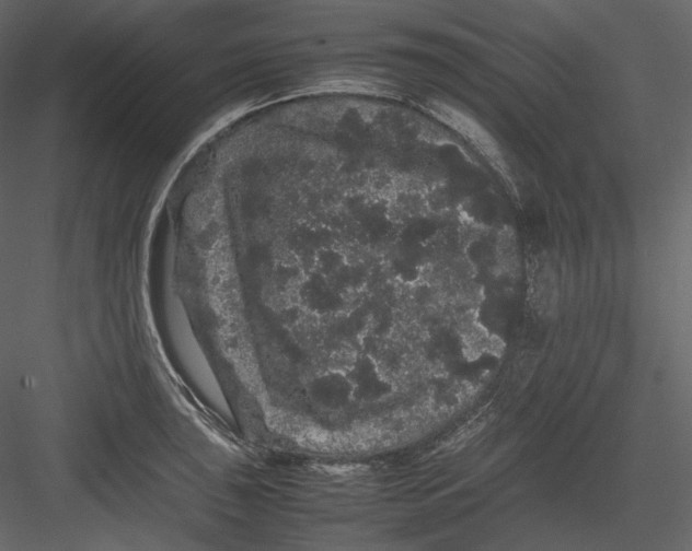 X0000082941043200702222241