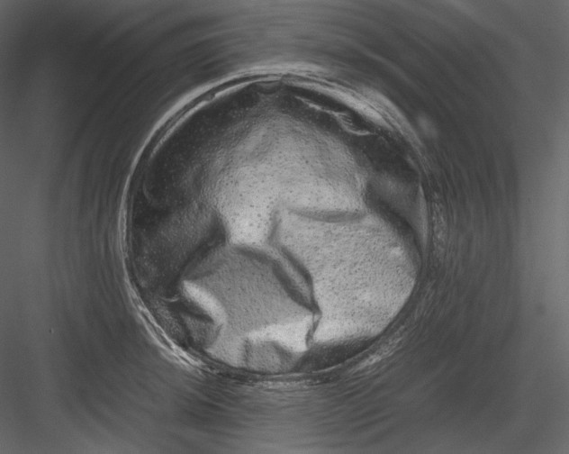 X0000082941044200702222241