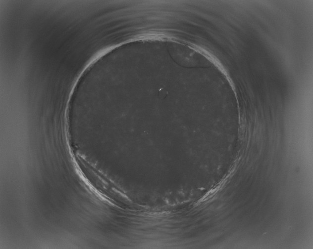 X0000082941045200702222241