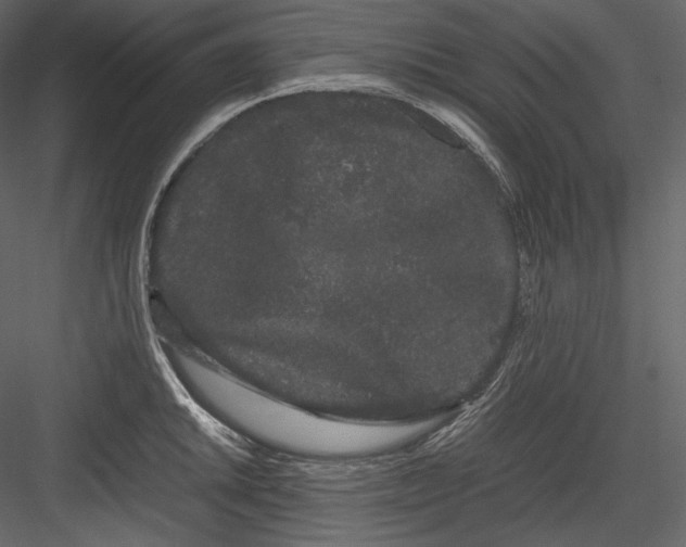 X0000082941046200702222241