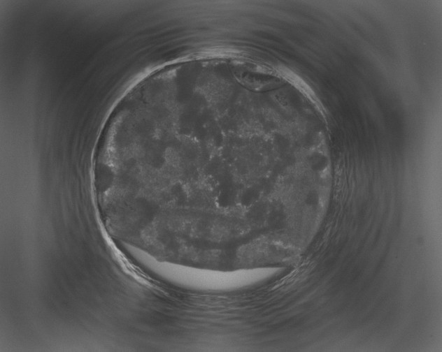 X0000082941047200702222241