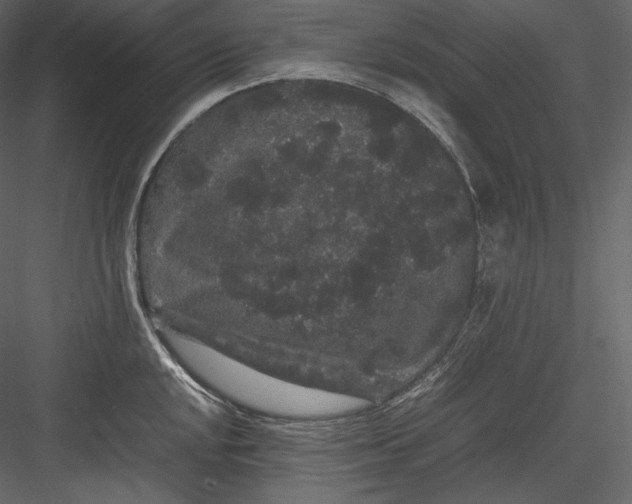 X0000082941048200702222241