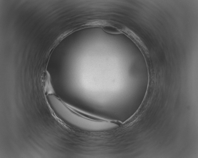 X0000082941049200702222241