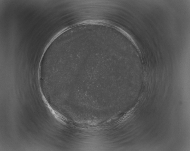 X0000082941050200702222241