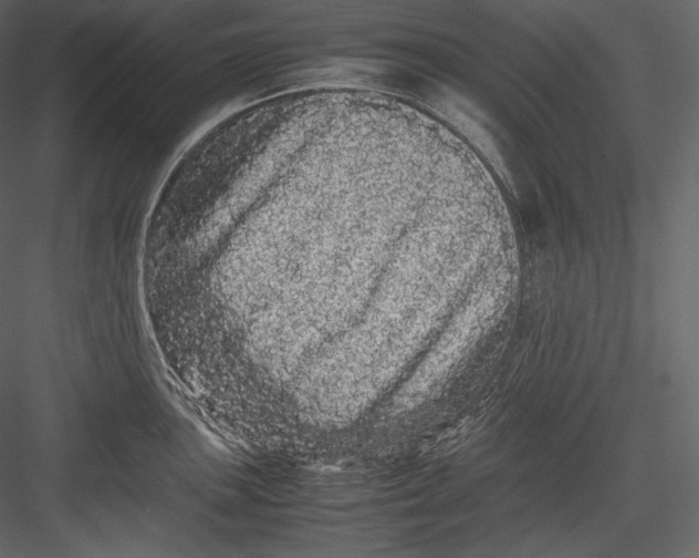 X0000082941051200702222241