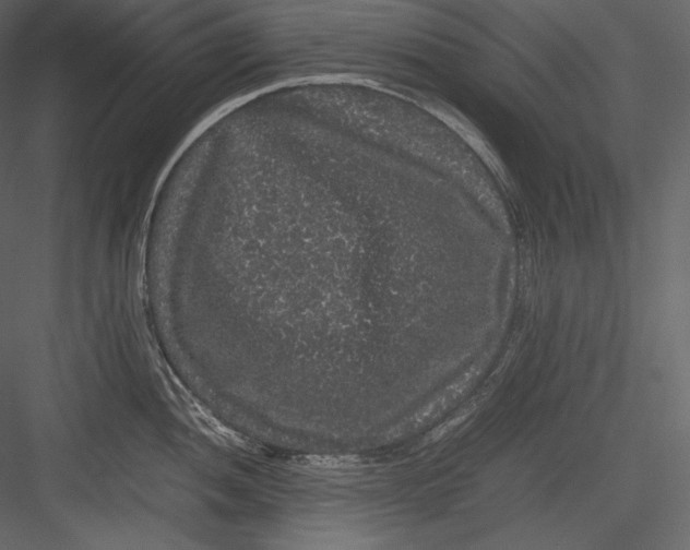 X0000082941052200702222242