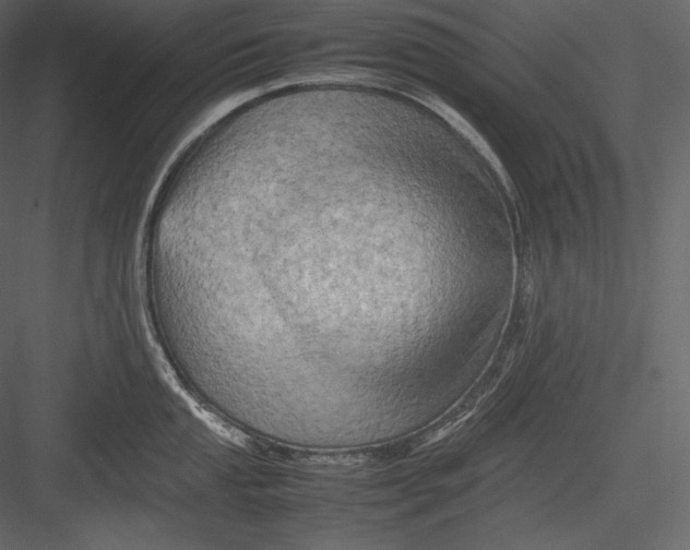 X0000082941053200702222242