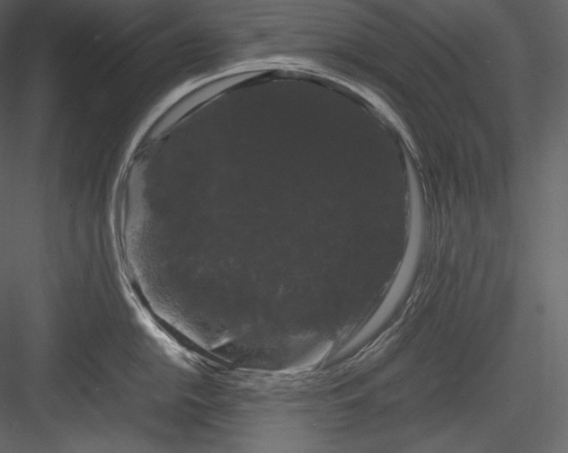 X0000082941054200702222242