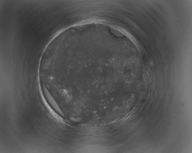 X0000082941055200702222242