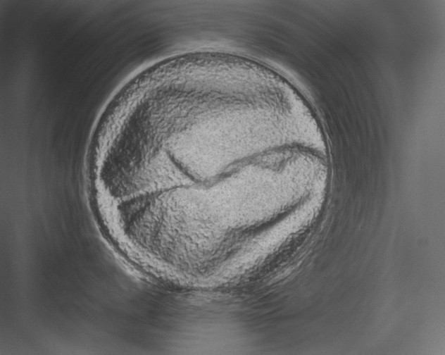 X0000082941056200702222242