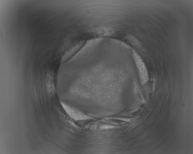 X0000082941058200702222241