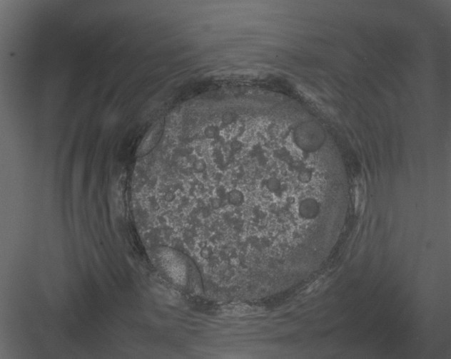 X0000082941059200702222241