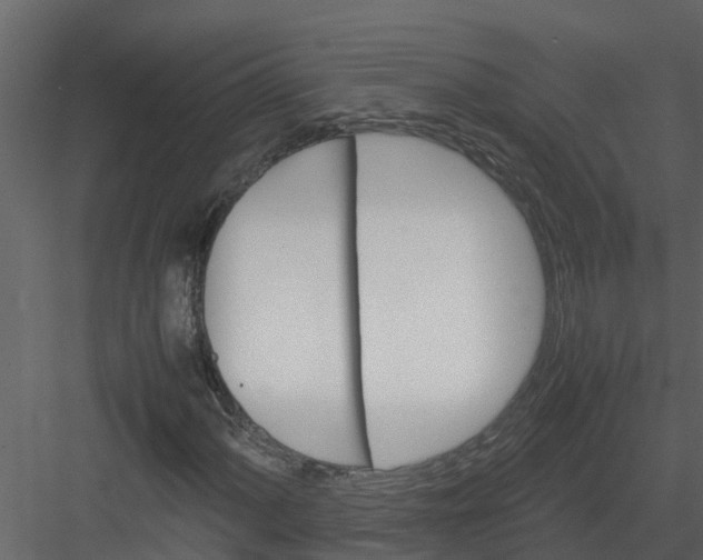 X0000082941060200702222241