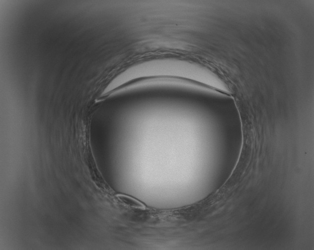 X0000082941061200702222241