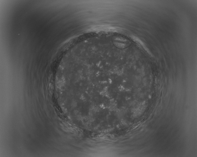 X0000082941063200702222241