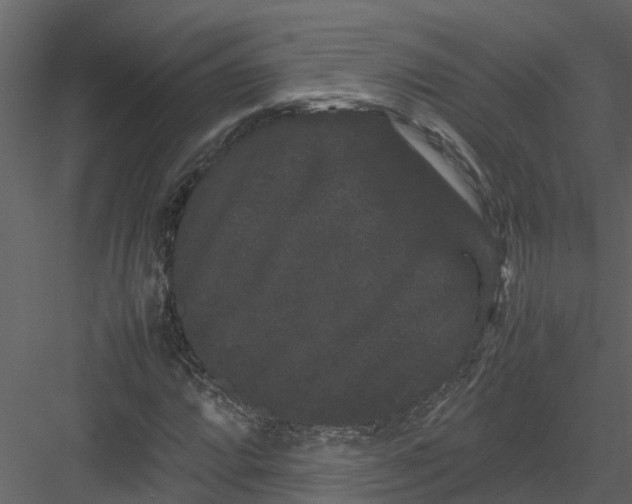 X0000082941064200702222241