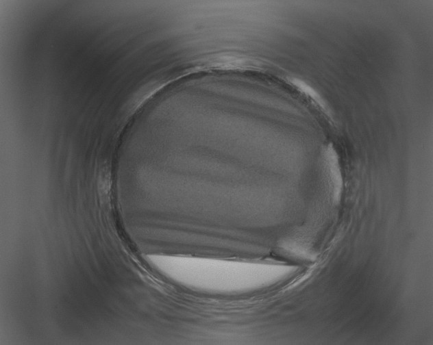 X0000082941065200702222241