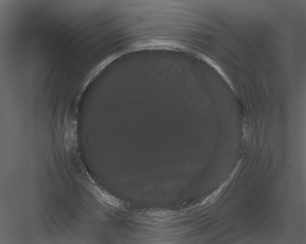 X0000082941066200702222241