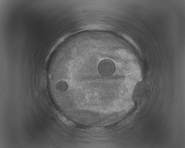 X0000082941067200702222241