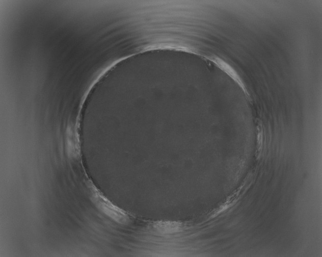 X0000082941068200702222241