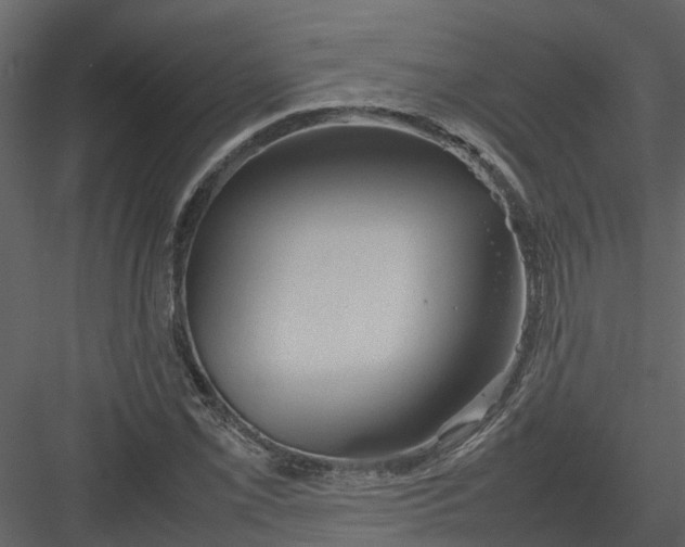 X0000082941069200702222241